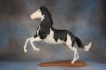 Black Splash Pinto Gaming Stock Horse