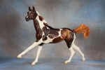 Glossy Dapple Flaxen Liver Chestnut Tobiano Akhal Teke