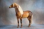 Glossy Dapple Sooty Palomino Murgese