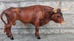 Texas Longhorn Bull