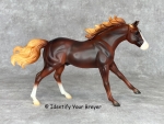 Playful Pony Family