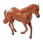 Gingersnap - Appaloosa