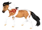 Shetland Pony