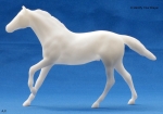 Paint & Play Thoroughbred Horse