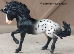 Mystery Horse Surprise