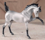 Exquisite Equines