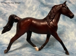 Atlanta: Standardbred Superstar