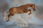 Dapple Sooty Palomino Warmblood Jumper