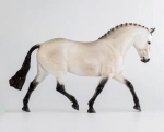 Rowan the Pony