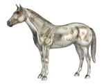 AQHA 85th Anniversary Best Remuda