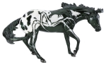 Arachne