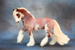 Strawberry Roan Sabino