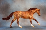 Chestnut Brindle