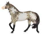 Stock Horse 2005: Smart Chic Olena (20 years old)