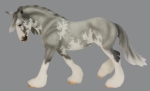 Horatio Color Test